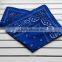 Classic kidneys blue bandanas