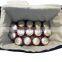 High Quality Soft Sided Insulated Cooler Bag/Insulated Lunch Bag