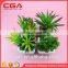 Manufacturers simulation tree plants indoor plants wholesale home decoration glass Decoration