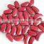 we are supply Dark red kidney beans with best price for sale