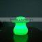 Kids Christmas Star Beauty Lamp