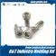 Carbon Steel Stuff Screw High Press Stop Screw