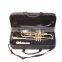 YTRU-301516 CUPID Professional Cheap gold lacquer Bb Trumpet