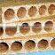 Soundproof Hollow Core Particle Board For Furniture