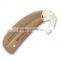 BTE hearing aid digital