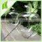 Hanging glass terrarium / glassware geometric glass terrarium wholesale / clear glass Apple shape hanging plant glass terrarium