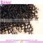 Wholesale clip in extensions free sample hot sale 7a grade clip in hair extensions for black women