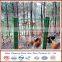 Euro holland wire mesh/welded wire mesh fencing mesh