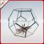 Vintage Diamond Shaped Glass Plants Terrarium Geometric For Indoor Decor/Clear Glass Terrarium