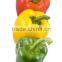 Frozen Vegetables