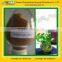 100% Natural Gotu Kola Extract 90% Asiaticosides