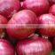 Best Market Price For Premium Grade Red Onion