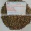 VIETNAM WET POLISHED ROBUSTA COFFEE BEANS S16(+841657106604 - WHATSAPP)