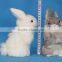 Easter Bunny Taxidermy Gray Grey Jackalope Lying Rabbit Horns