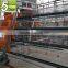 New design poultry equipment for chicken farm