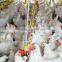 Hot sale automatic chicken chain pan feeder with 16 grilles for poultry equipment