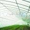Tunnel Greenhouse for Agriculture