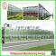 Polycarbonate Tunnel Industrial Greenhouse for Agriculture Equipment