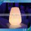 Theme Party Decorations Remote Control LED Christmas Yard Decorations