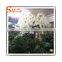 Wholesale fake cherry blossom lighted tree small cherry blossom trees cherry blossom led tree lamp