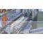 Linear Stretch Blow Molding Machinery
