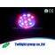 15w LED GROW Light for Your Indoor Garden