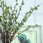 2018 New Style Artificial Plant 17 Fruits 3 Branches Eucalyptus Branch