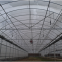 Plastic Film Multispan Greenhouse for Agriculture Farming