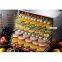 Hot selling stainless steel food dehydrator dryer fruit drying machine/electric dehydrators