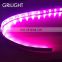 2017 new product 18-20lm/led rgbw ww 5 colors smd5050 led strip light