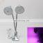 LED Clip Plant Growth Lamp Double-headed Plant Light 24W Full Spectrum Plant Growth Light