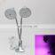 LED clip plant growth lamp double-headed plant light 24W full spectrum plant growth light