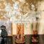 Luxury Creative Glass Small Vase Living Room Table Transparent Dried Flower Decoration