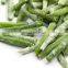 factory hot selling IQF frozen green asparagus with fresh quality