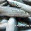 Frozen Seafood pacific macekerel Fish To Supply with size - 80g / pcs