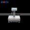 BLS-P Series [0.1g] Paint-mixing Balances