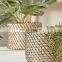 Hot Selling 2 Piece Natural Seagrass Planter Set Storage Basket Plant Holder Wholesale