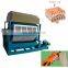 Pulp Moulding Egg Fruit Tray Machine Recycling Waste Paper Egg Tray Machine With CE Approved