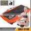 3D Wave Vibration Machine Vibration Plate with MP3/USB (Two Motors)