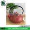 popular Chinese traditonal thick enamel cast iron teapot with infuser