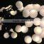 US EU 110V 220V yellow Warm white purple RGB led global string light fairy IP65 standard outdoor led ball string light