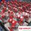 Fire Signal Butterfly Valve With High Qulity Better Price Manufactured in Chinese Factory