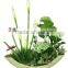 wholesale artificial flowers,artfiical plants, artificial floral art