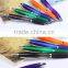 Colorful plastic ballpoint pens with logo printing cheap advertising gift ballpoint pens promotional gift pens