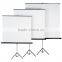 300 inch outdoor holographic black rear projection screen