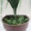 Wholeselling Fake Artificial Plastic Grass with Pot for Sale