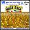 Weighted floating rubber race duck                        
                                                Quality Choice