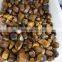 random natural rock polished tiger eye tumble stone