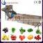 SUS304 stainless steel air bubble fruit washing machine