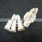Drywall Plastic Wall Anchor